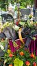 2025-06-07 POGRZEB GENOWEFY STACHOWIAK5.JPG